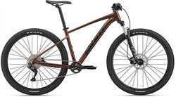 Xe đạp địa hình thể thao Giant Talon 29 1 2022